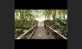 Imagem 4: Vendo lote em condomínio Quinta do bosque em castanhal