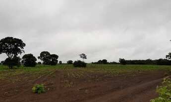 Imagem 10: Venda Fazenda Municipal Jangada, 1.300 hectares, Topografia Plana Levemente Ondulada - MT