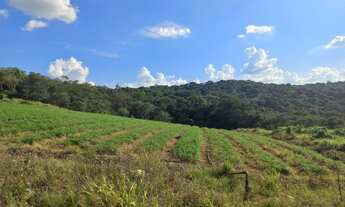 Imagem 4: Vendo terreno com energia na porta e poço artesiano