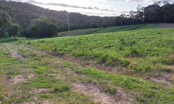 Imagem 7: AREA VERDE Terreno / lote com venda por R$35.000