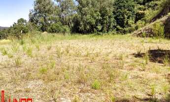 Imagem 6: Terreno Industrial com 3 Dormitorio(s) localizado(a) no bairro . em Flores da Cunha / Re