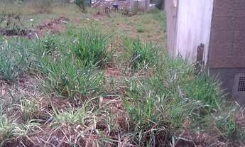 Imagem 6: TERRENO - JARINU