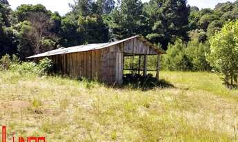 Imagem 3: Terreno Industrial com 3 Dormitorio(s) localizado(a) no bairro . em Flores da Cunha / Re
