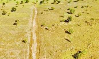 Imagem 2: Fazenda com 58 alqueires em Niquelândia - GO