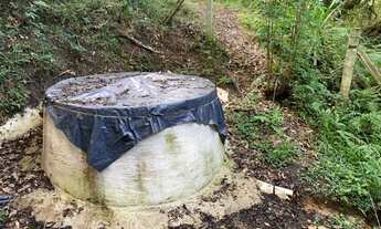 Imagem 5: Chácara para venda possui 12000 metros a 25 minutos do centro de São José dos Pinhais