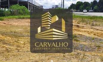 Imagem 2: Terreno para investimento na BR 280