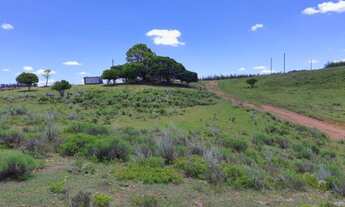 Imagem 7: R- 528 Oportunidade única vendo propriedade de 45 hectares em Piratini-RS