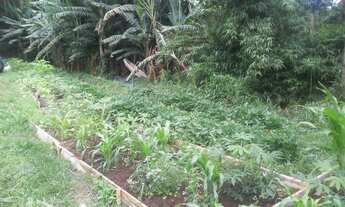 Imagem 6: Vendo chacarra em joanopolis aceito carro valor 90 mil