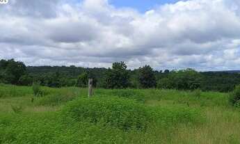 Imagem 7: Fazenda Á VENDA EM CENTENÁRIO - TO - 363 HECTARES (PECUÁRIA