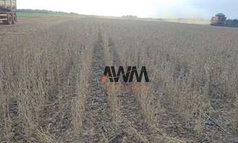 Imagem 2: Fazenda à venda, 7018000 m² por R$ 30.000.000,00 - Centro - Divinópolis do Tocantins/TO