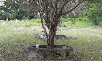 Imagem 4: Sítio à venda, 27000 m² por R$ 1.200.000 - Parque Agrinco - Guararema/SP