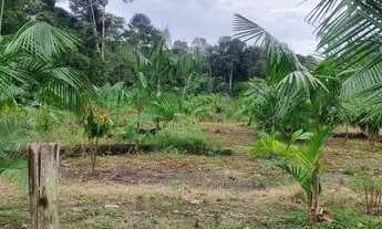 Imagem 7: Sitio em Benevides