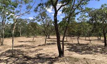 Imagem 7: Chácara 9000m², Energia, Terra de Cultura, Linda Vista, 600m Rod, 4km Aragoiânia