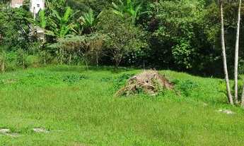 Imagem 7: 4900 mts imperdível motivo da venda idade avançada