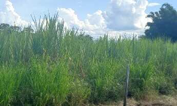 Imagem 5: Fazenda buritis MG proximo a cidade escriturada formada muita água