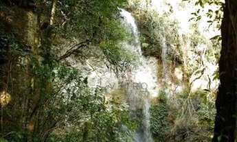 Imagem 5: Sítio na cidade de Canela!