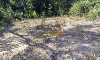 Imagem 1: Fazenda com 2 dormitórios à venda, 15439600 m² por R$ 7.975.000,00 - Zona Rural - Niquelân