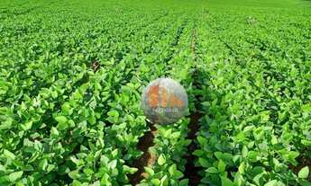 Imagem 7: Fazenda com 2 dormitórios à venda, m² por R$ 131.376.000,00 - Zona Rural - Canarana/MT