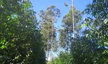 Imagem 7: Chácara: Lotes a partir de 500mt² em Mairinque - Oportunidade única