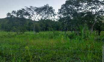 Imagem 6: Cachoeiras de Macacu Rio x Friburgo 18ha