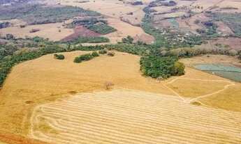 Imagem 3: Fazenda 80 alq em Leopoldo de Bulhões