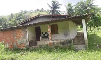 Imagem 5: Vendo maravilhoso sítio em Jaguaripe