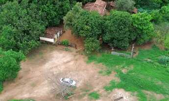 Imagem: Fazenda com dupla aptidão 41,5 alqueires