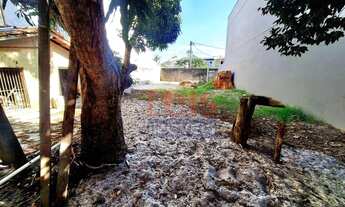 Imagem 3: Terreno em camboinhas