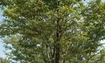 Imagem 2: Studio com excelente localização para rentabilizar em Tamandaré/Carneiros-PE