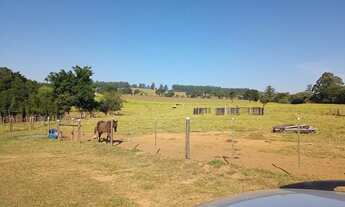 Imagem 5: Vendo sítio de 3 alqueires em sarapui SP