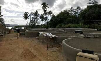 Imagem 6: EXC!! TERRENO C/ 3.000 METROS BEIRA DE LAGOA!! DOCUMENTADO!! 800 MIL REAIS!!