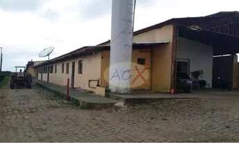 Imagem 5: Haras com 5 dormitórios à venda, 520000 m² por R$ 20.000.000 - Tabatinga - Tijucas do Sul