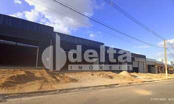 Imagem 5: Galpão disponível para venda no bairro Shopping Park em Uberlândia-MG