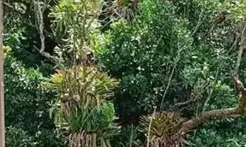 Imagem 5: Imóvel para venda possui 52 metros quadrados com 2 quartos em Independência - Petrópolis