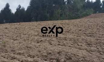 Imagem 7: Chácara à Venda em Agudos do Sul - PR