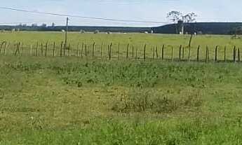 Imagem 5: Sítio à venda em Entre Rios-BA, bairro Entre Rios, 1 quarto, 103.000 m² de área! Venha con