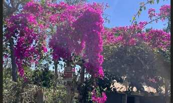 Imagem 5: LINDA CHÁCARA EM ACURUÍ MG - 500m2