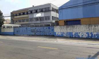 Imagem 2: GALPÃO - LAPA DE BAIXO - SP