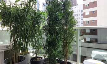 Imagem 5: Apto mobiliado, vista livre , 3 dormitórios , um por andar