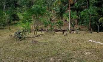 Imagem 7: Fazenda/Sítio/Chácara para venda possui 8799 metros quadrados em Lago Azul - Manaus - AM