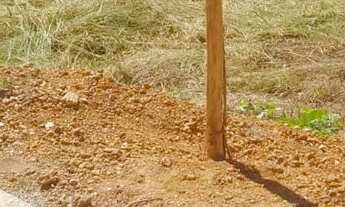 Imagem 3: Vendo lote no lago corumbá 4