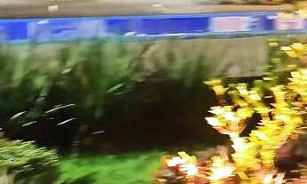 Imagem: Chácara Gramado. (Bairro Morada Nova