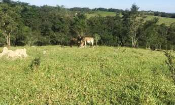 Imagem 3: Chácara em condomínio perto de Belo Horizonte