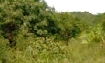 Imagem 5: Sítio porteira fechada