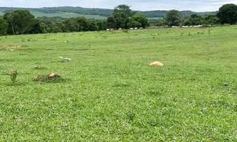 Imagem: Chácara à Venda 8 Alqueires em Palestina