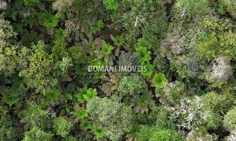 Imagem 3: Lote de Terreno à Venda na Região de Capivari - Campos do Jordão/SP