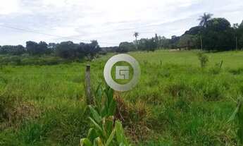 Imagem 2: Fazenda/Sítio/Chácara em Patis, no bairro Zona Rural, à venda