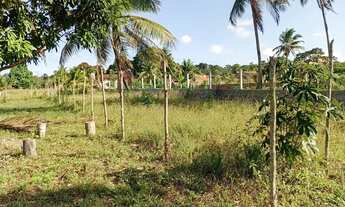 Imagem 3: Terreno a venda Terreno / lote com venda por R$13.000