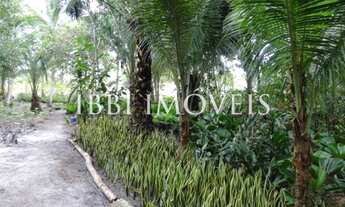 Imagem 4: Linda Chácara Arborizada Com Várias Plantas Nativas