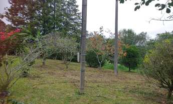 Imagem 2: Chácara a venda em Tijucas do Sul -PR